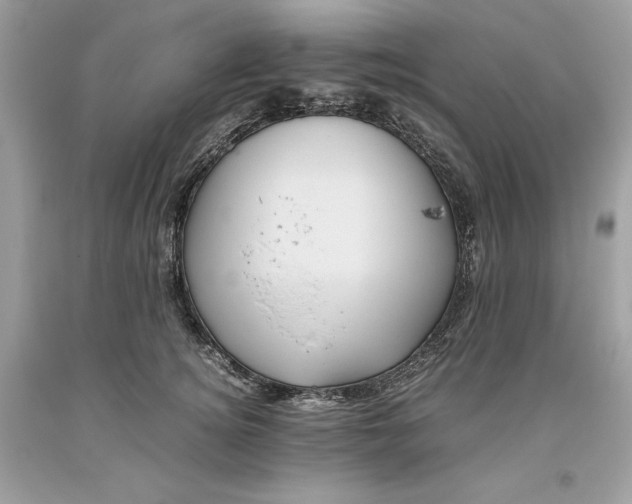 X0000093510756200710261157