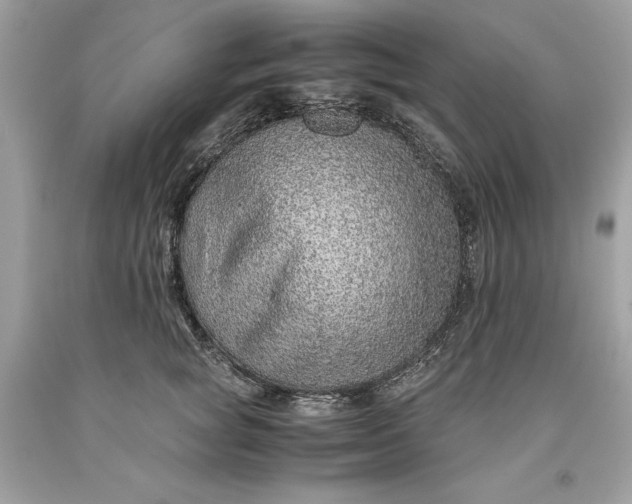 X0000093510757200710261157