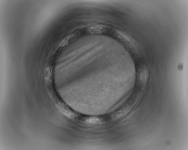 X0000093510759200710261157