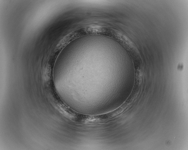 X0000093510760200710261157