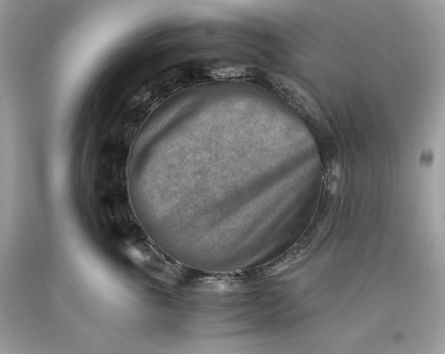 X0000093510763200710261157