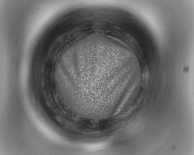 X0000093510765200710261157