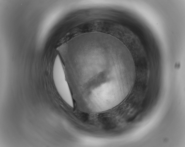 X0000093510766200710261157