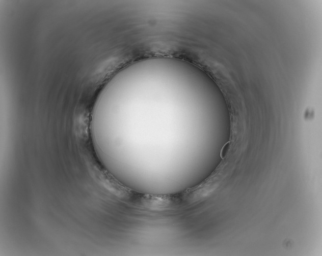 X0000093510768200710261157