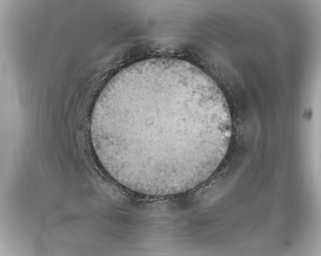 X0000093510769200710261156