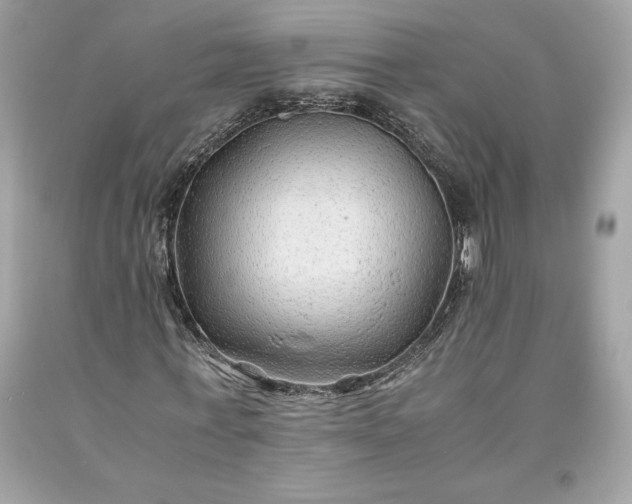 X0000093510771200710261156