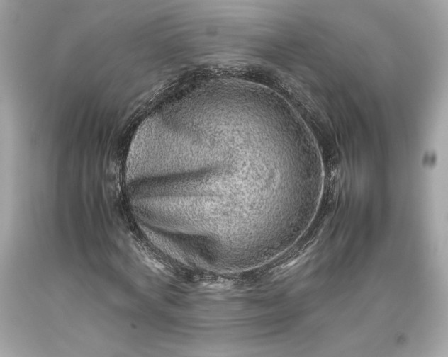 X0000093510772200710261156