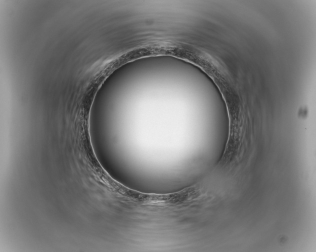 X0000093510773200710261156