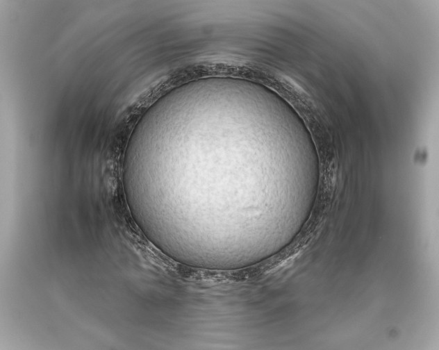 X0000093510774200710261156