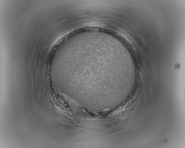 X0000093510775200710261156