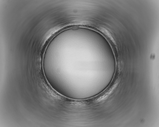 X0000093510781200710261156