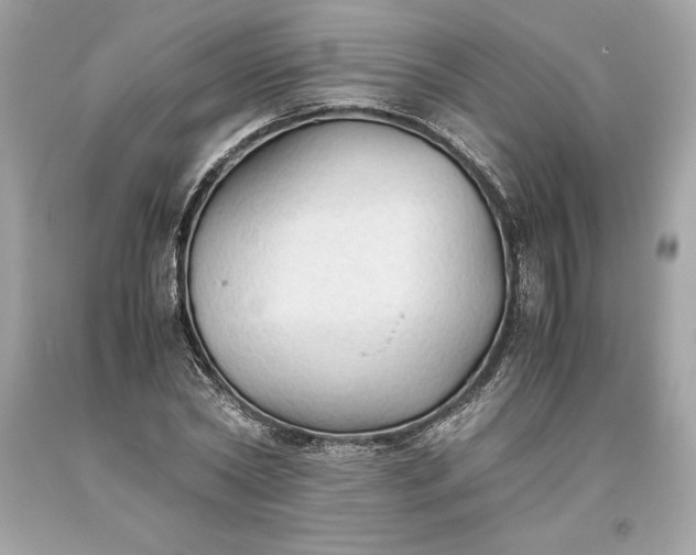 X0000093510782200710261156