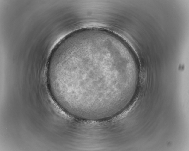 X0000093510783200710261156