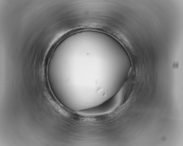 X0000093510784200710261156