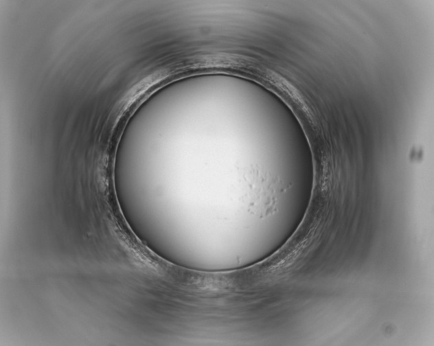 X0000093510786200710261156