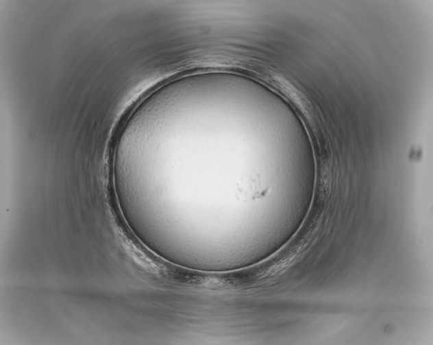 X0000093510787200710261156