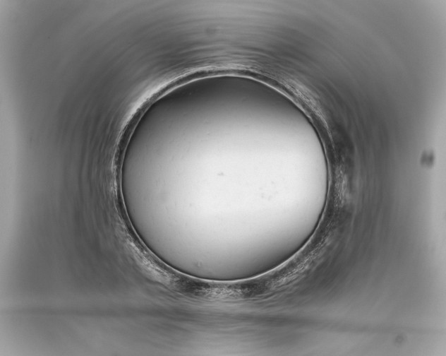 X0000093510789200710261156