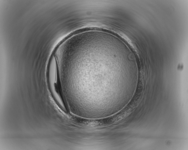 X0000093510791200710261156