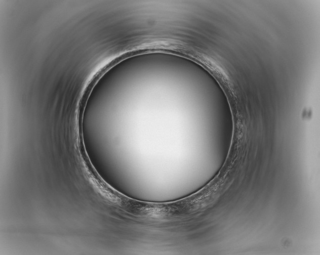 X0000093510792200710261156