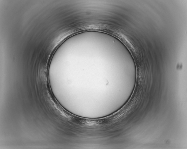 X0000093510794200710261156