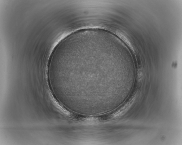 X0000093510797200710261156