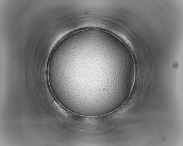 X0000093510799200710261156