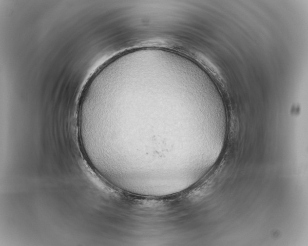 X0000093510800200710261156
