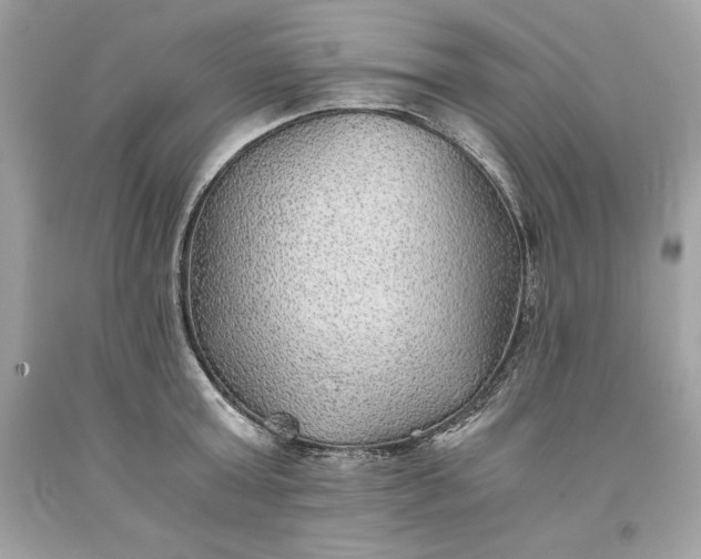 X0000093510803200710261156