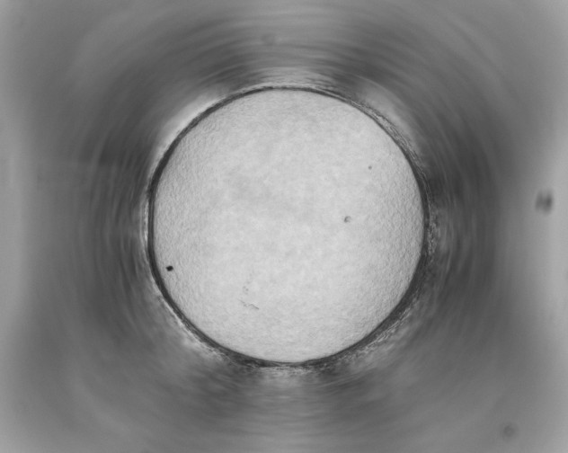 X0000093510804200710261156