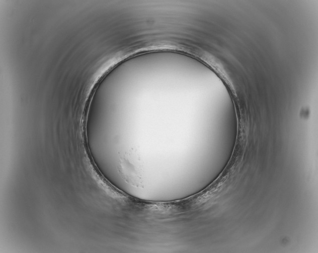 X0000093510805200710261156