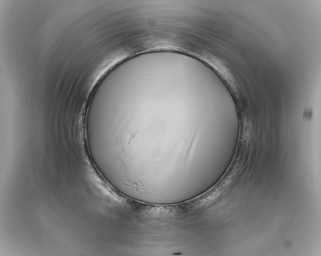 X0000093510806200710261156