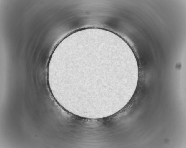 X0000093510807200710261156