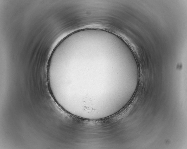 X0000093510808200710261156