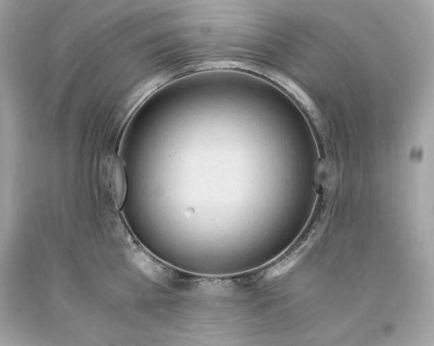X0000093510809200710261156