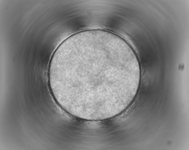 X0000093510810200710261156