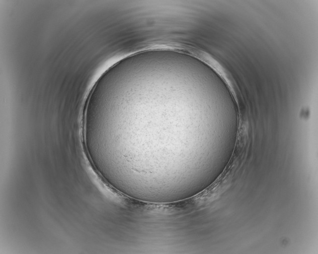 X0000093510811200710261156
