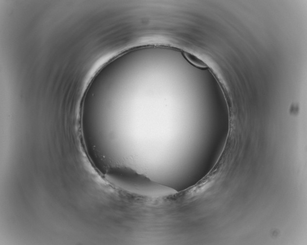X0000093510815200710261156