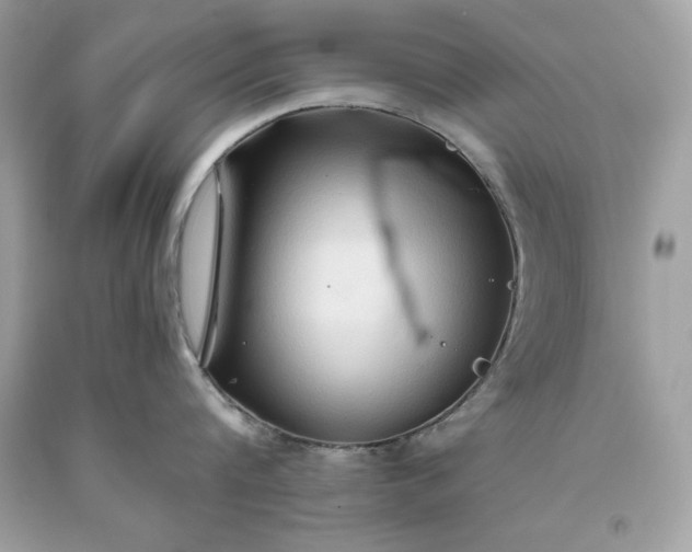 X0000093510816200710261156