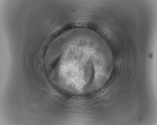 X0000093510817200710261155