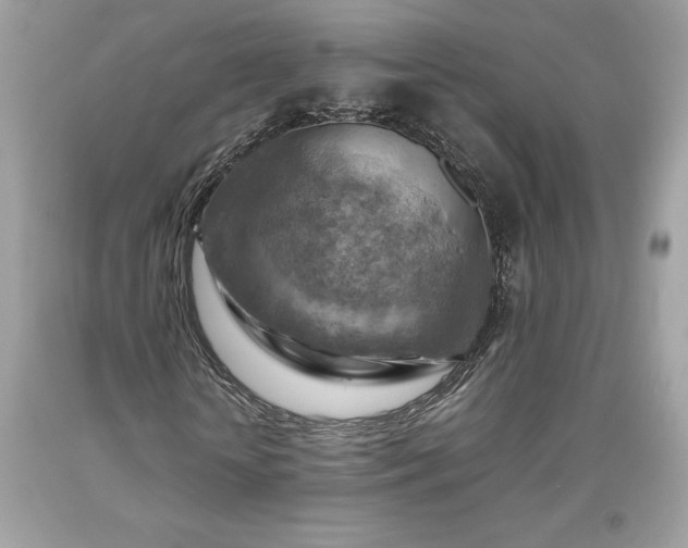 X0000093510818200710261155