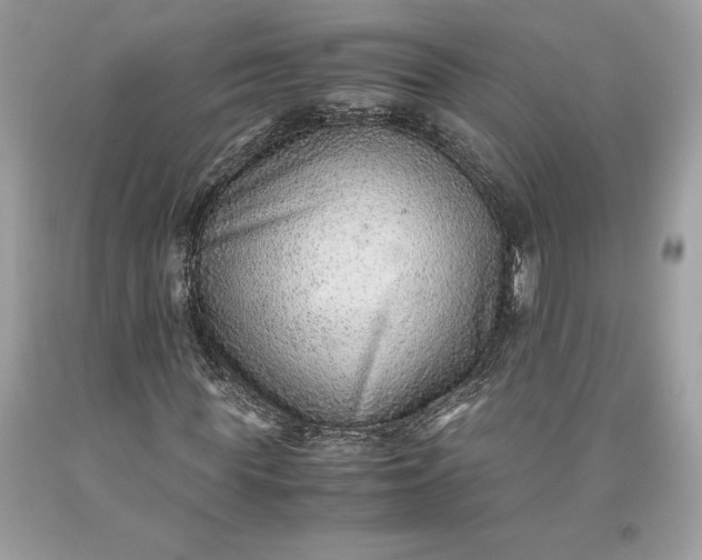 X0000093510819200710261155