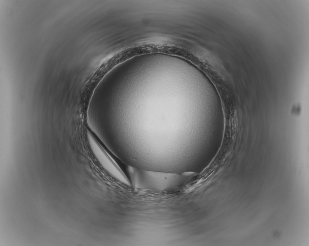 X0000093510822200710261155