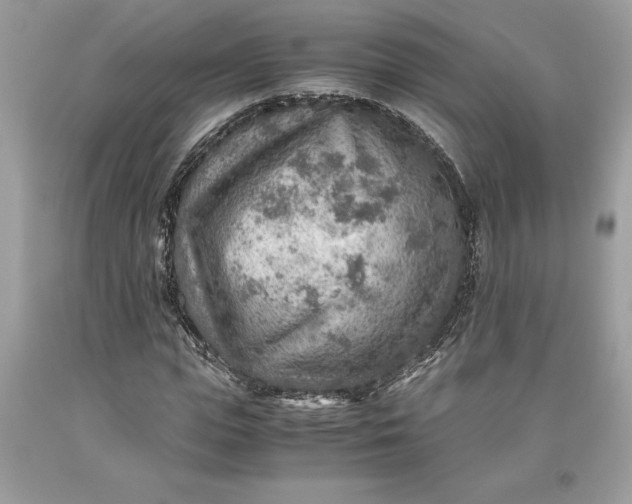 X0000093510823200710261155