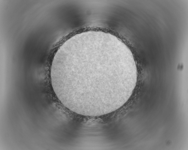 X0000093510824200710261155
