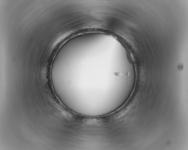 X0000093510826200710261155