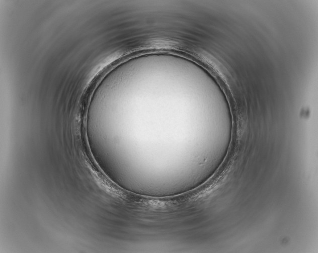 X0000093510827200710261155