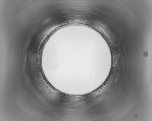 X0000093510828200710261155