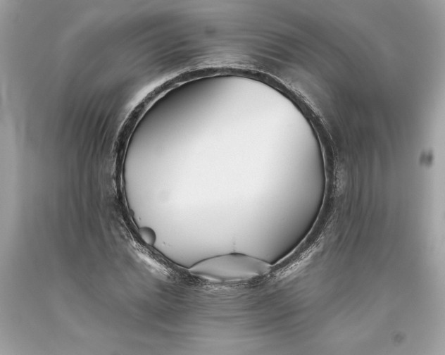 X0000093510830200710261155