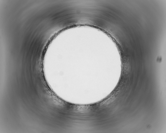 X0000093510832200710261155