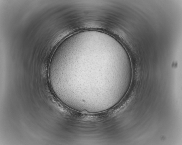 X0000093510833200710261155